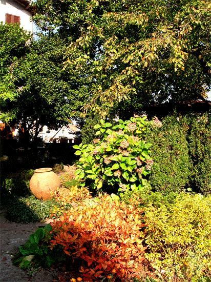 Bed and Breakfast Le Camelie à Brissago-Valtravaglia Extérieur photo